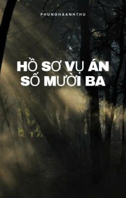 Hồ Sơ Vụ Án Số Mười Ba