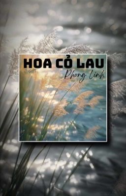 Hoa Cỏ Lau 