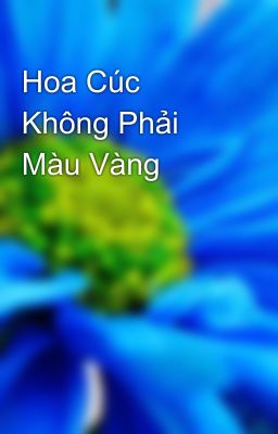 Hoa Cúc Không Phải Màu Vàng