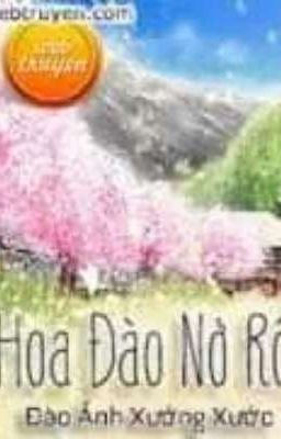 Hoa đào nở rộ 