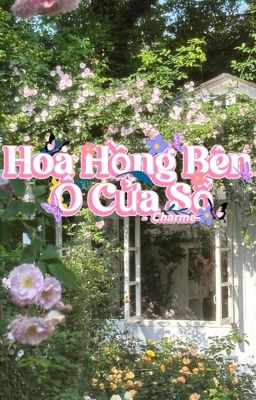 Hoa Hồng Bên Ô Cửa Sổ