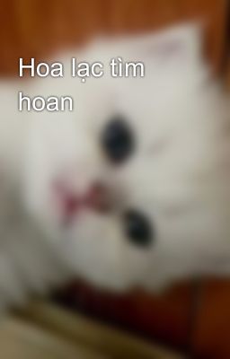 Hoa lạc tìm hoan