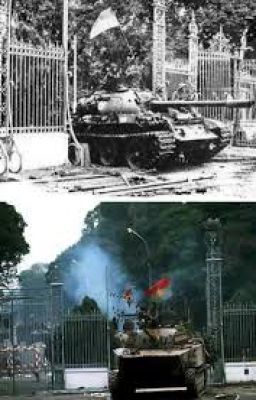 HOA NỞ NƠI CHIẾN TRƯỜNG
