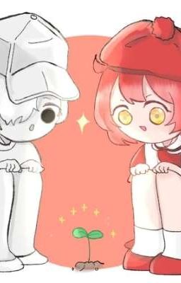  Hoa Phấn Nở Đêm [Hataraku Saibou Fanfic] [Bạch Cầu x Hồng Cầu]