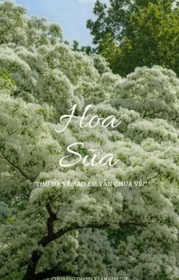 Hoa Sữa