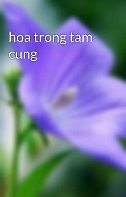 hoa trong tam cung