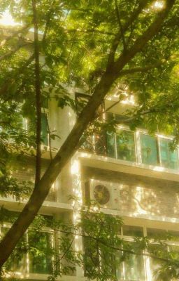 [Hoàn] [CV] Bâng Quý | 放学后，等我