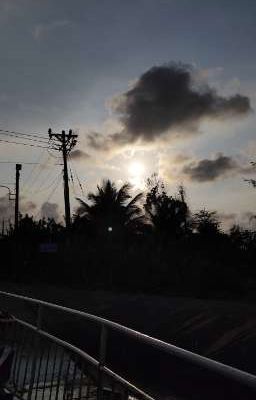 (Hoàn Cv) Đánh dấu 70: Nữ xứng thanh niên trí thức bị đại lão nuông chiều