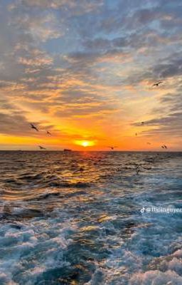 Hoàn Hôn ấy thật đẹp biết bao 