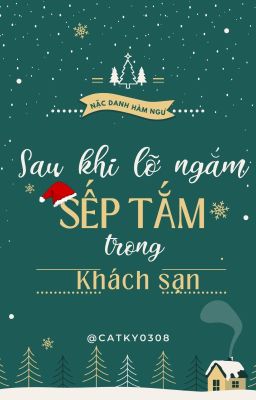 (Hoàn) Sau Khi Lỡ Ngắm Sếp Tắm Trong Khách Sạn - Nặc Danh Hàm Ngư