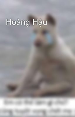 Hoàng Hậu