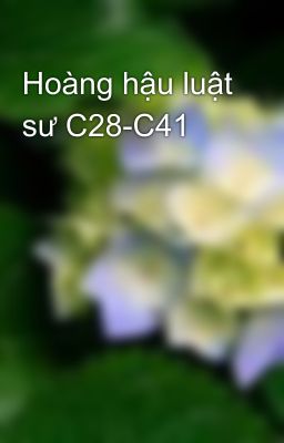 Hoàng hậu luật sư C28-C41