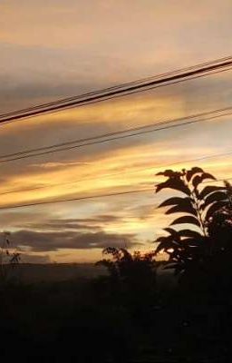 Hoàng Hôn Riêng Anh