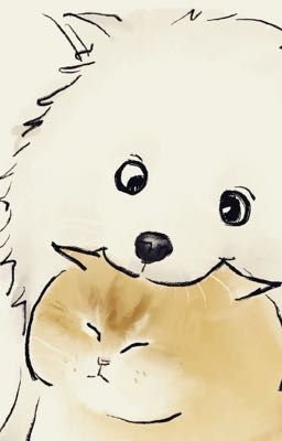 |Hoàng Huy| Cún mèo 