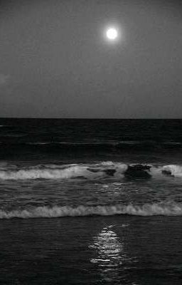 [ Hoàng Khang ] Tình 