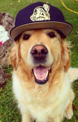 [HoangKhang] Giựt Tóc