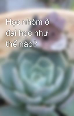 Học nhóm ở đại học như thế nào?