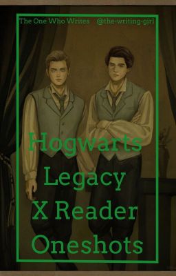 Hogwarts Legacy X Reader Oneshots