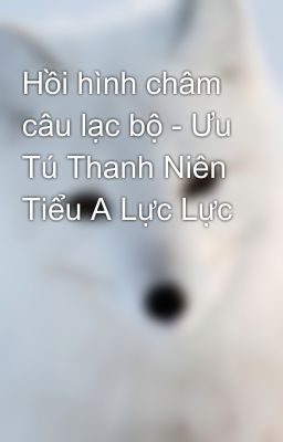 Hồi hình châm câu lạc bộ - Ưu Tú Thanh Niên Tiểu A Lực Lực