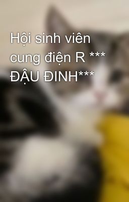 Hội sinh viên cung điện R *** ĐẬU ĐINH***