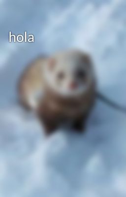 hola