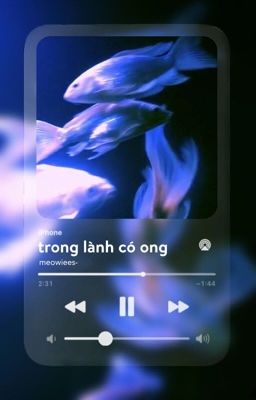 holeez ; trong lành có ong