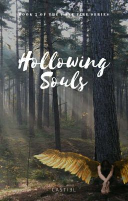 Hollowing Souls