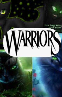 Hollyleaf's Guide to Warriors