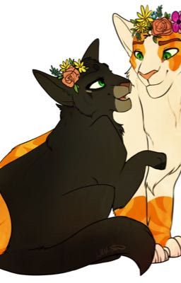 Hollyleaf x fallenleaves 