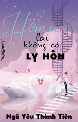 Hôm nay lại không có ly hôn