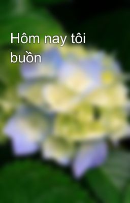 Hôm nay tôi buồn