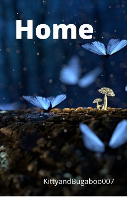 Home (Missing Book 2)