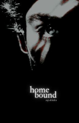 HOMEBOUND » bucky barnes