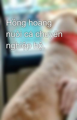 Hồng hoang nuôi cá chuyên nghiệp hộ.