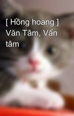 [ Hồng hoang ] Văn Tâm, Vấn tâm