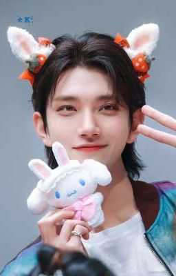  Hong Jisoo Con Mèo Ngốc