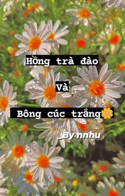 Hồng trà đào và bông cúc trắng