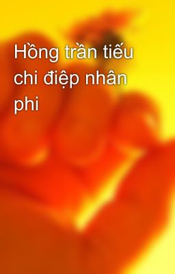 Hồng trần tiếu chi điệp nhân phi