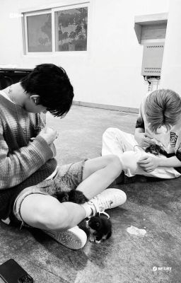 【 hoonhee 】duy nhất.