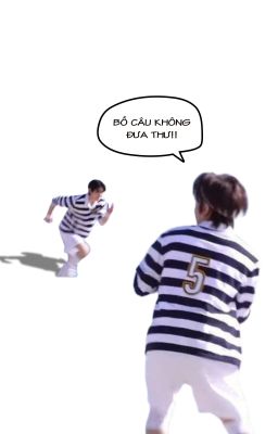 hoonjake; bồ câu không đưa thư