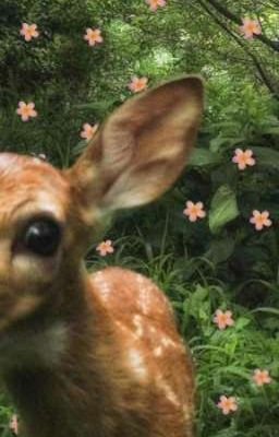 hoonjames; lộn xộn 