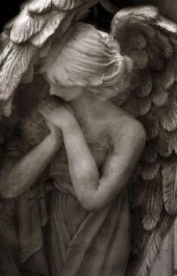 HoonJames | 𝘾𝙖𝙧𝙚𝙨𝙨𝙚 - BerryVelr