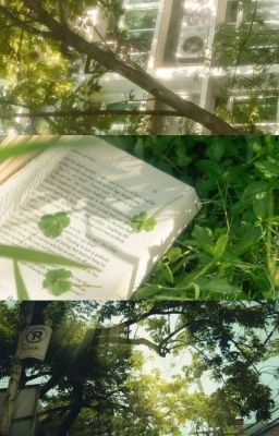 Hoonmar ➢ Chiếc eo thon nhỏ 