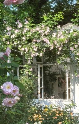 [HoonYoshi] Bản án tình yêu