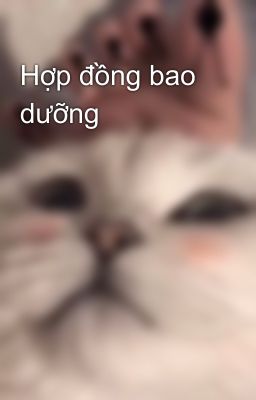 Hợp đồng bao dưỡng