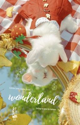 hopemin | take me to the wonderland