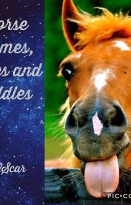 Horse Jokes, Memes and Riddles 