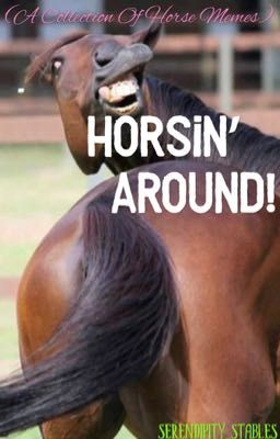 Horsin' Around! (A Collection Of Horse Memes)