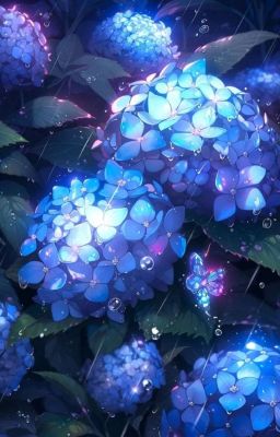 Hortensia