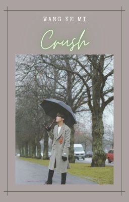 Hoseok │ Crush